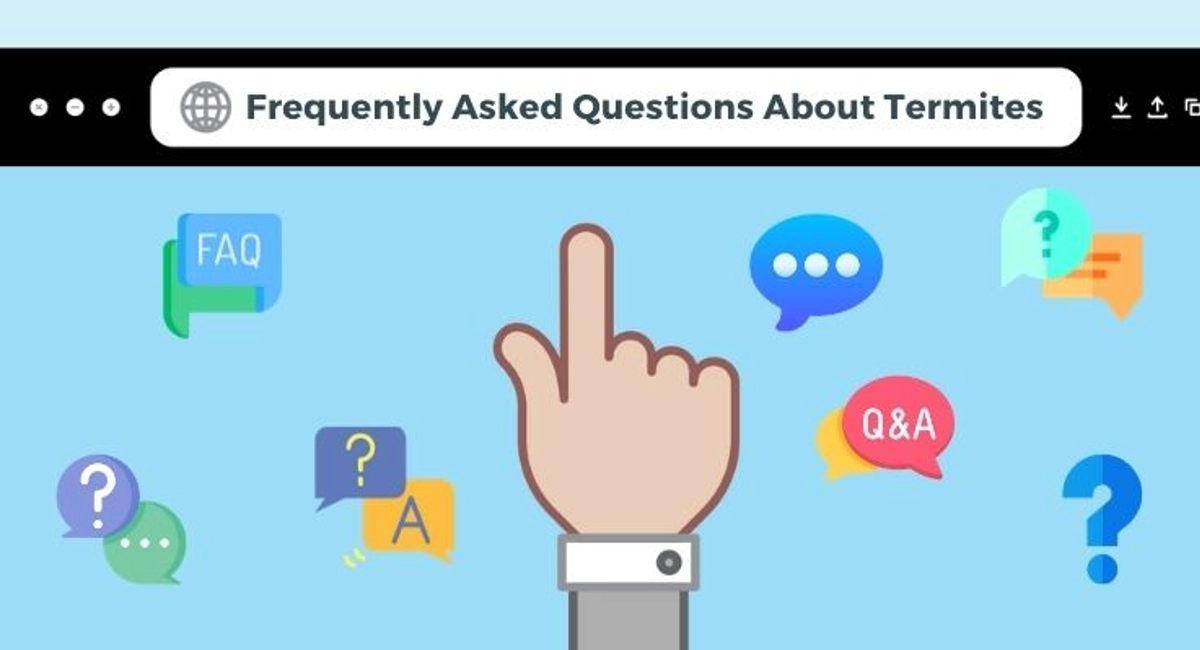 Debugged Blog Top Ten Termite Blog Trending Topics FAQ