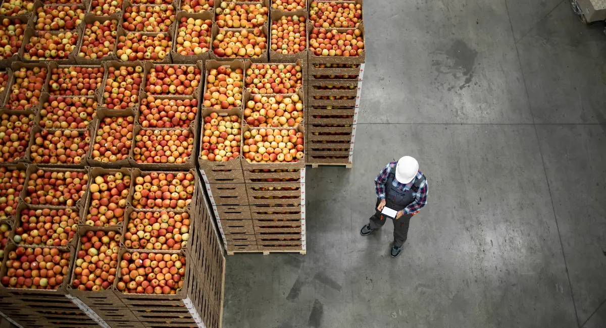 Inspecting incoming goods