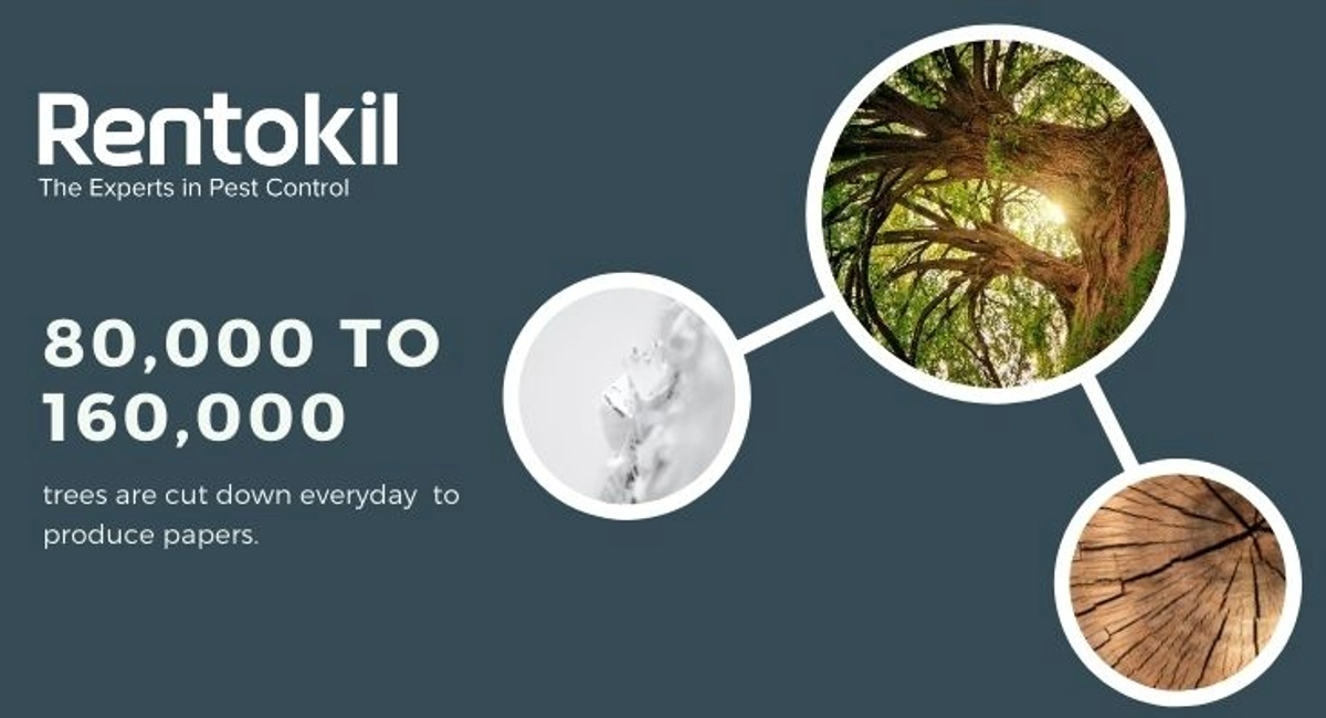 rentokil-infographic-eco-green-save-trees.webp