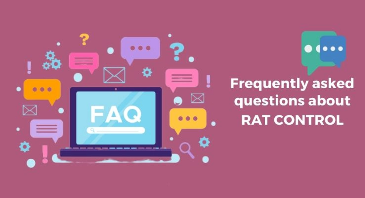 Debugged Blog 7 Facts You Did Not Know About Rats Frequently Asked Questions About Rat Control