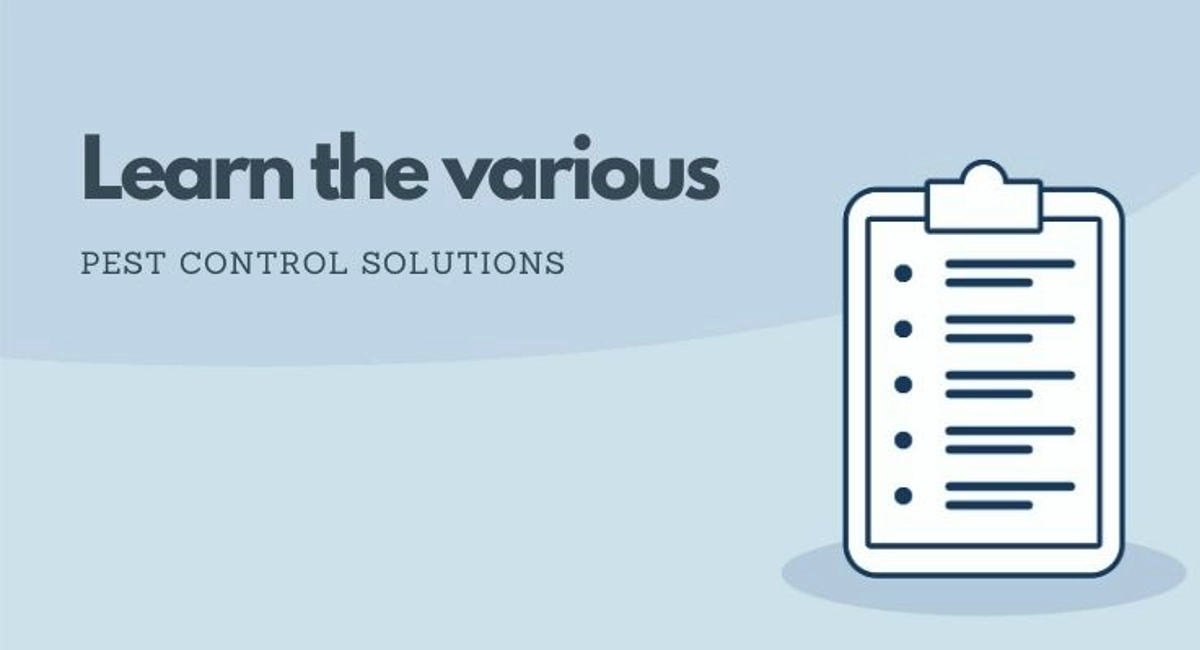 Debugged Blog Seven Pest Control Myths Various Pest Control Solutions