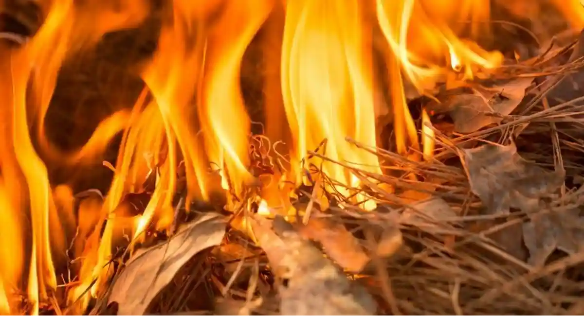 brush fire