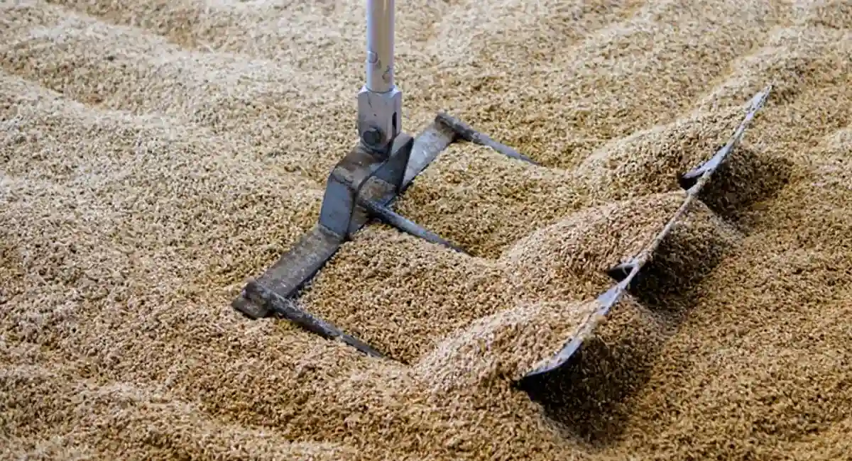 stored product pests 