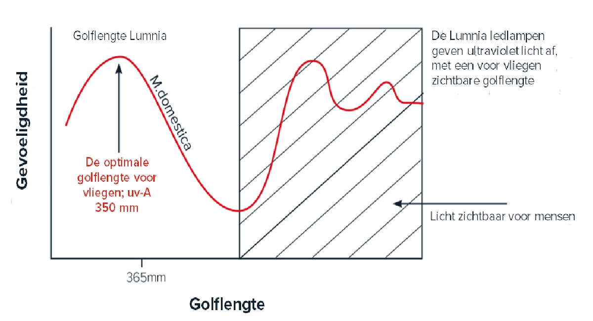 Grafiek ledtechnologie