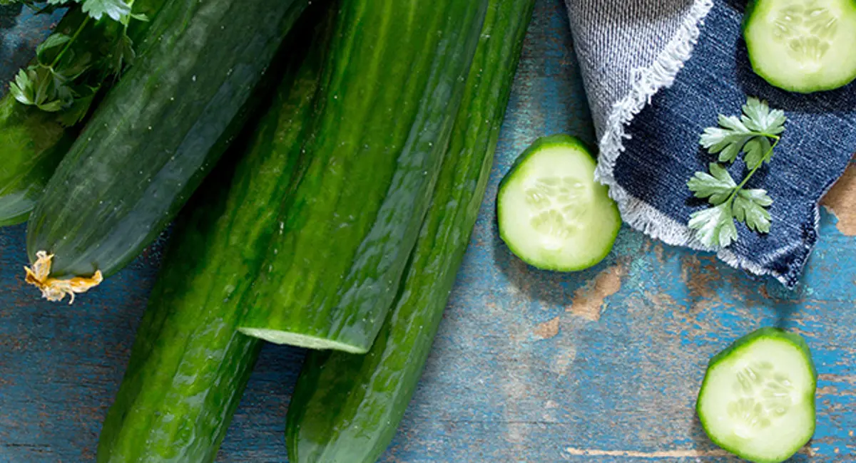 Cucumber