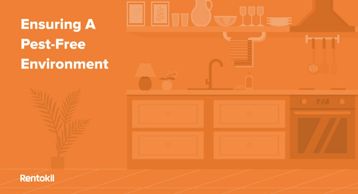 Ensuring A Pest-Free Environment