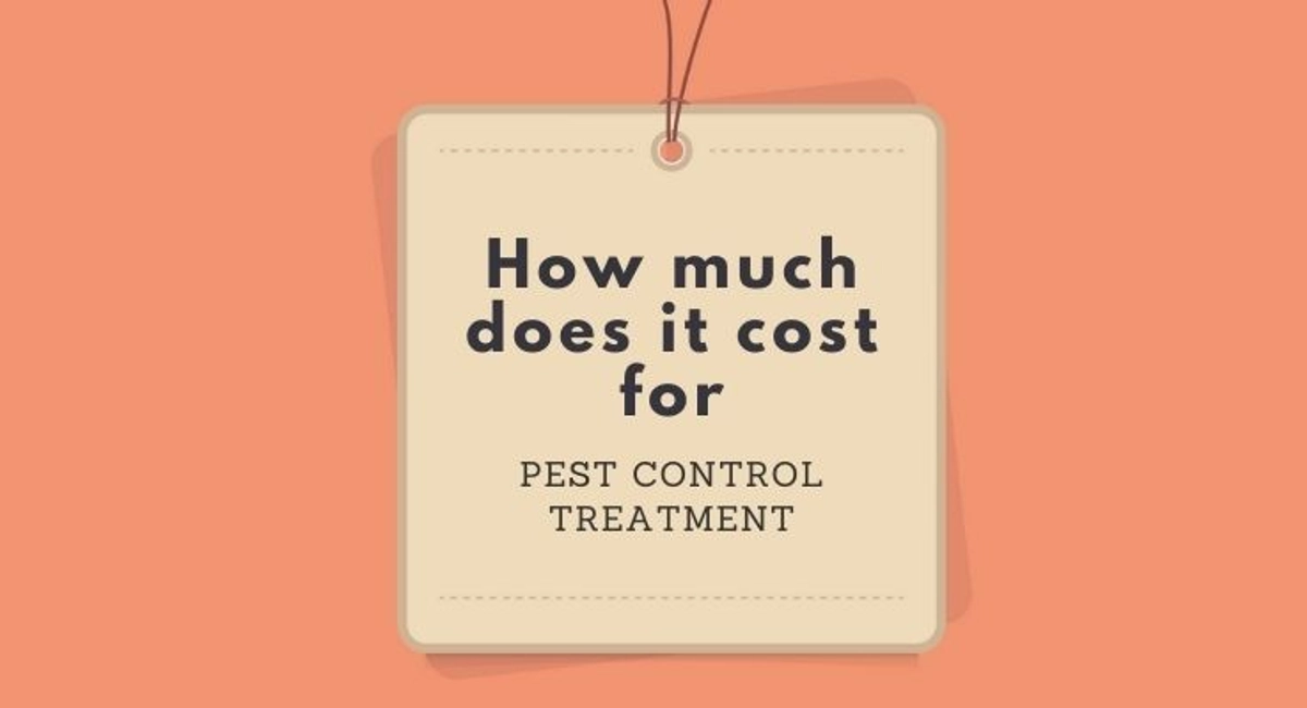 Debugged Blog Ten Questions To Ask About Cockroach Control Cost of Pest Control