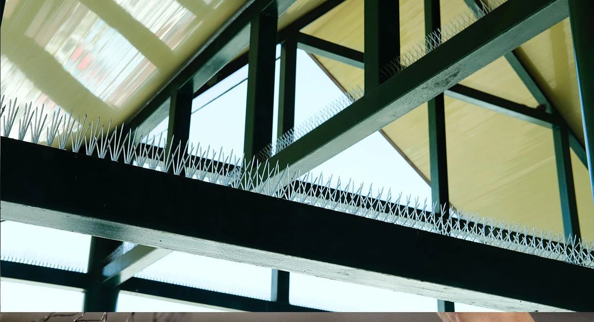 bird spokes for preventing birds resting