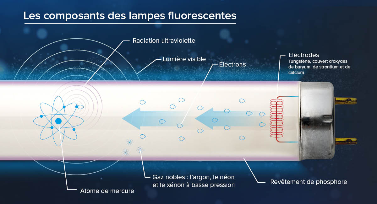 les composantes des lampes fluorescentes 