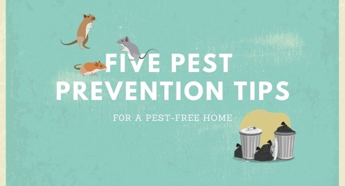 Debugged Blog How To Know If Pest Control Is Working Pest Prevention Tips