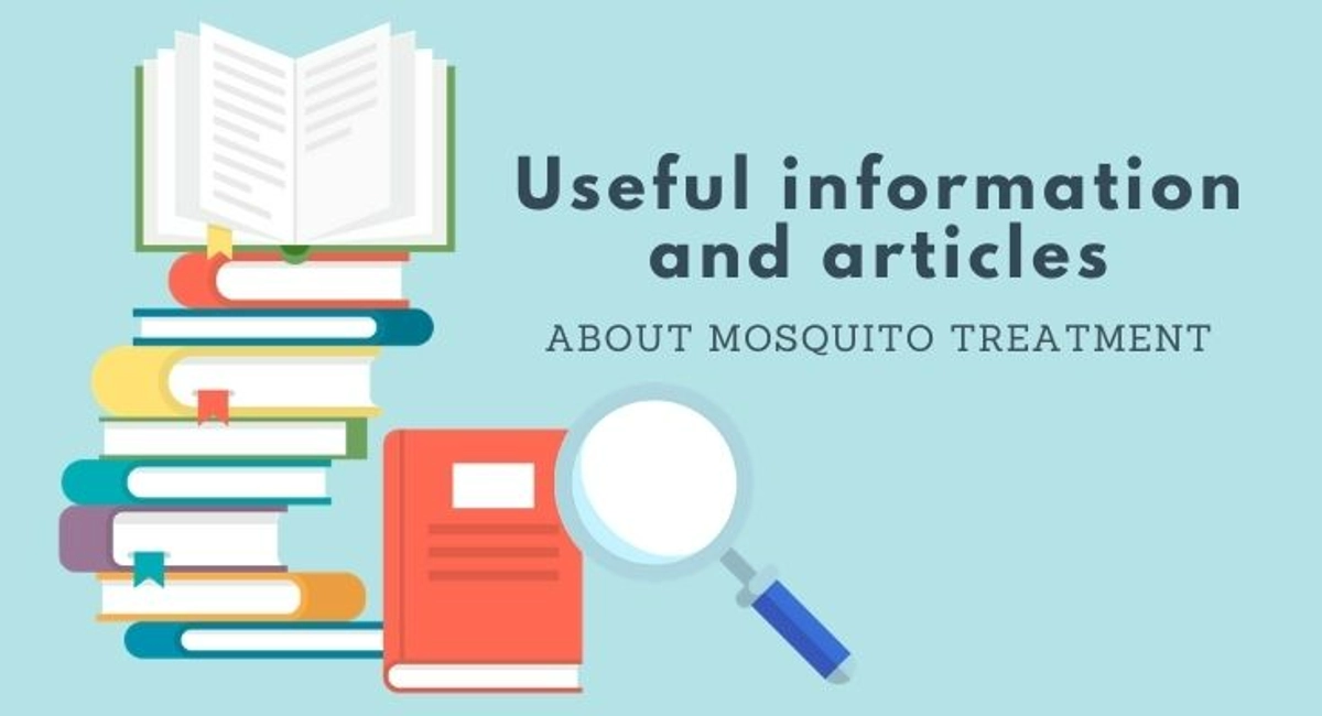 Debugged Blog Five Reasons Why We Do Not Like Mosquitoes Useful Information
