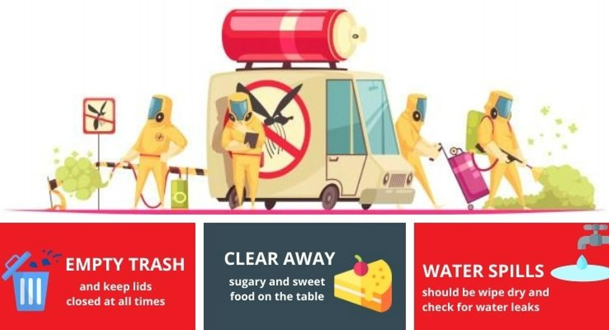 Debugged Blog Pest Home Remedies To Get Rid of Ants Prevention Tips