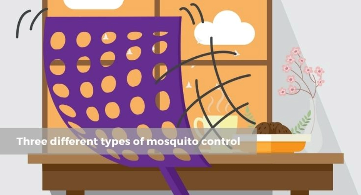 Debugged Blog Five Ways Protect Ourselves From Dengue Mosquito Control Options