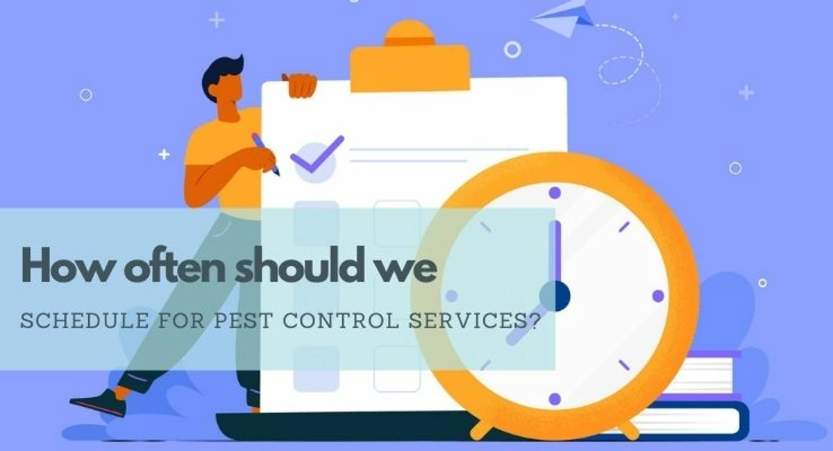 debugged blog what we need to know about when dealing with cockroaches how often to schedule pest control