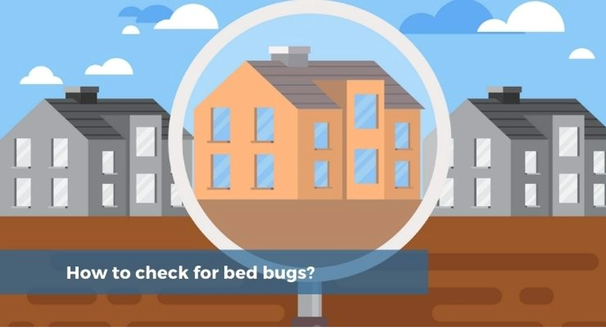 Debugged Blog Do Bed Bugs Return After Treatment How To Check For Bed Bugs