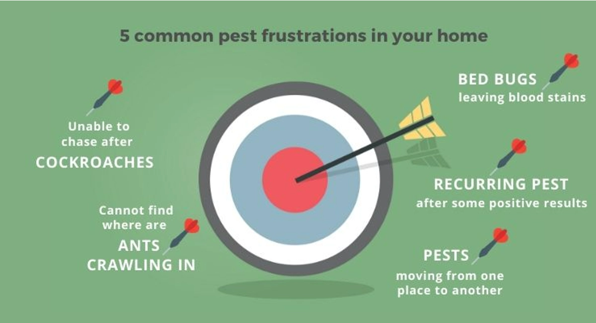 Debugged Blog Common Pest Problems At Home Top 5 Frustrations in Pest