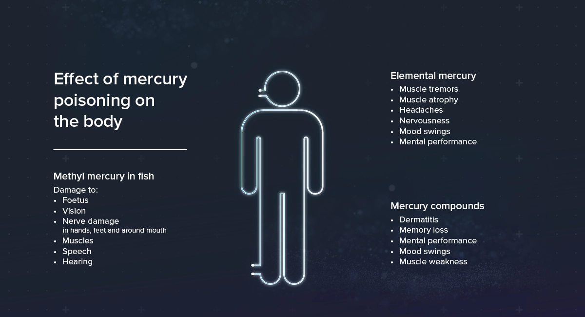 Effect of mercury poisoning on the body