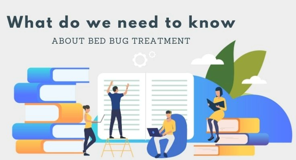 Debugged Blog Five Reasons Why Bed Bugs Are Annoying About Bed Bugs Treatment