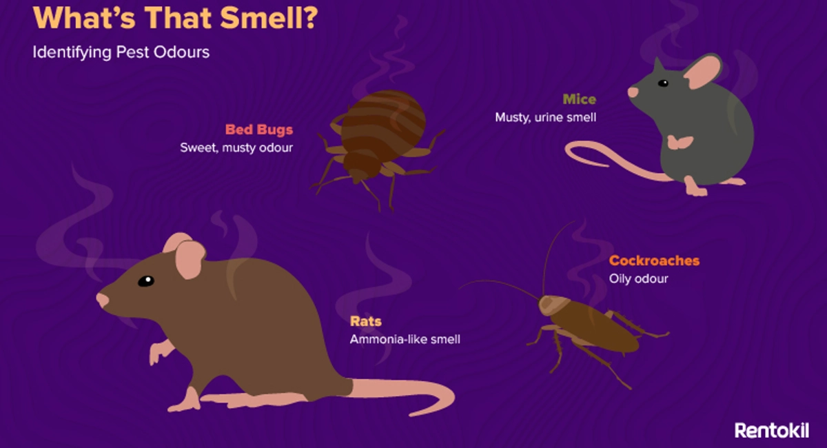 Pest odours
