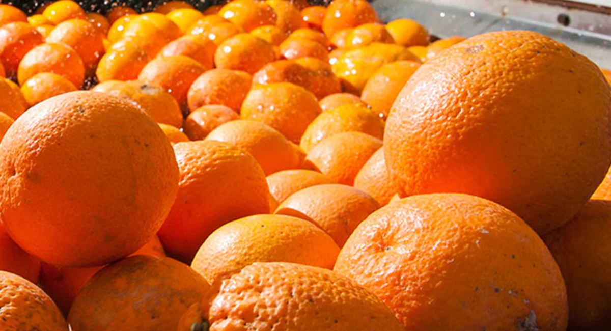 Food processing facility following Food Safety Modernization Act guidelines