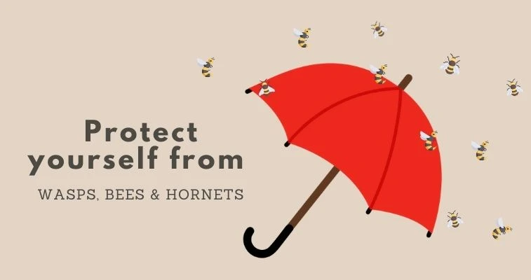 Wasps Bees Hornets Protection