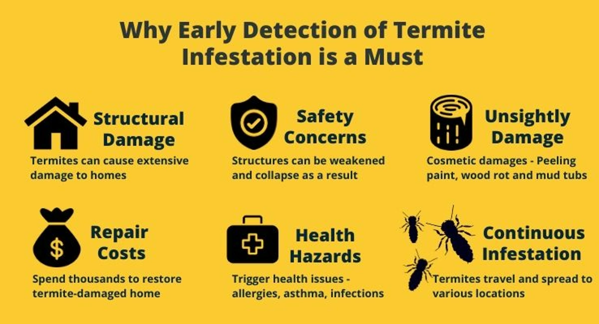 Why Early Detection of termite infestation is a must