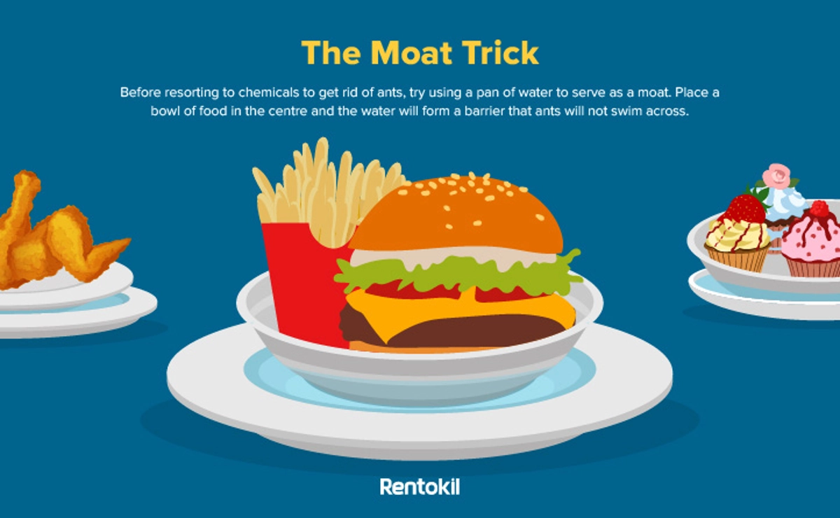 the moat trick