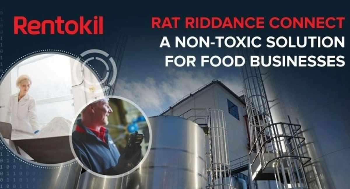 Debugged Blog Rentokil Voted Best Pest Control Rat Riddance