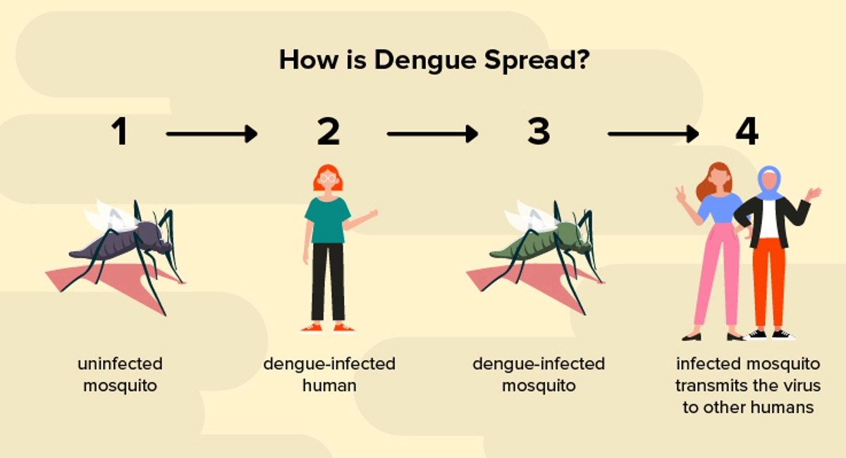 Debugged Blog Facts of Dengue Cluster In Singapore You May Not Be Safe Staying Out of Dengue Cluster