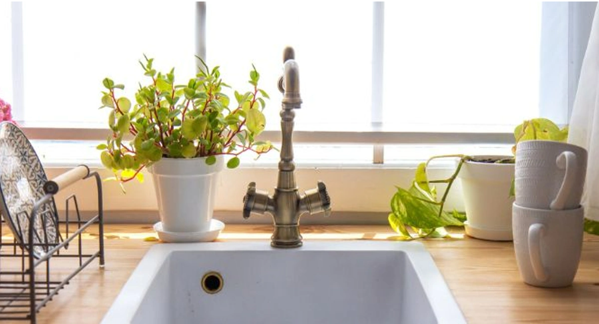 sink-with-flowers