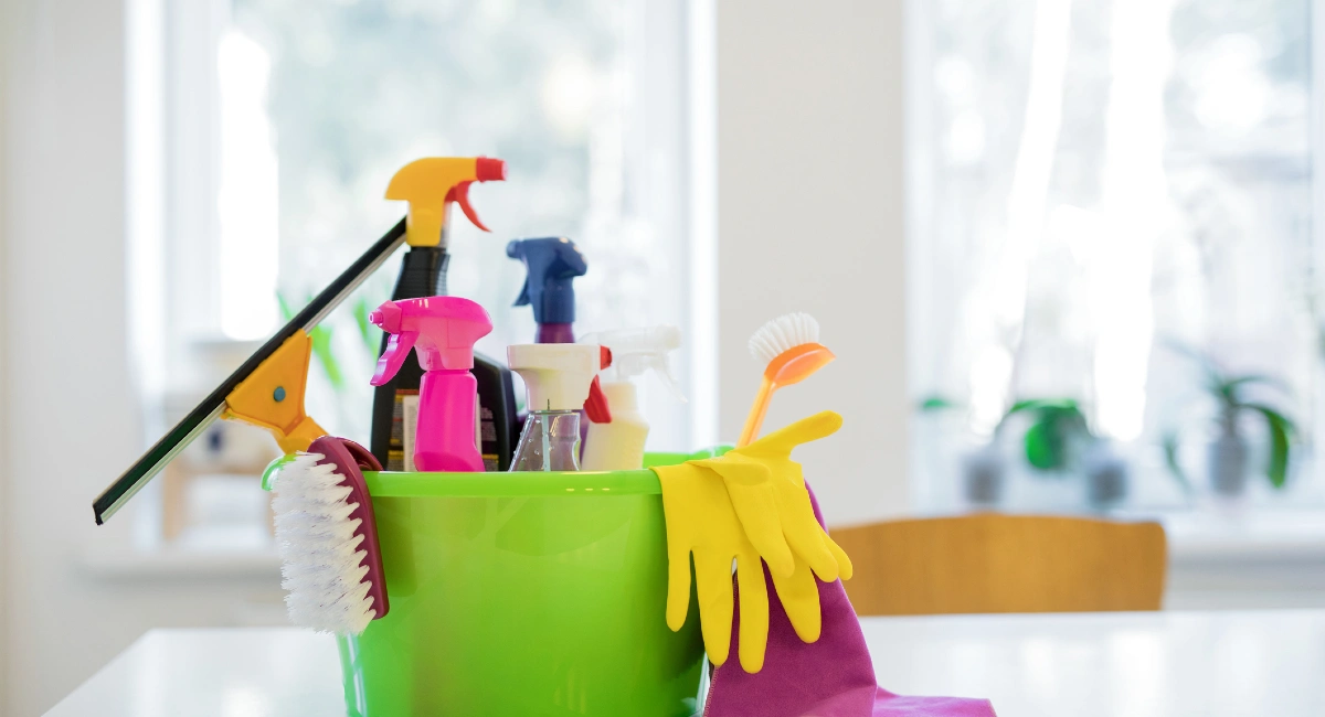 Debugged Blog What you need to know about indoor and outdoor pest control Cleaning Regime