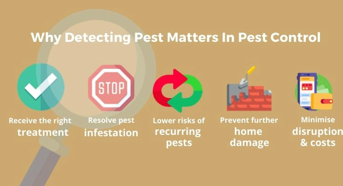 Debugged Blog Article Is That Flying Termites or Ants in Your Home Why Pest Detection Matters