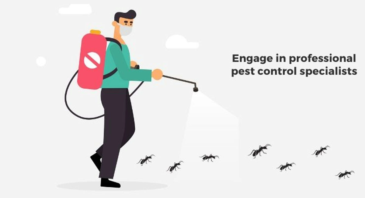 Debugged Blog Common Pest Problems At Home Engage Professional Pest Control