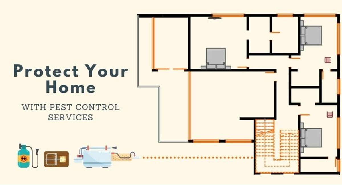 Debugged Blog Top 7 Food In Your Home That Attract Pests Protect Your Home With Pest Control